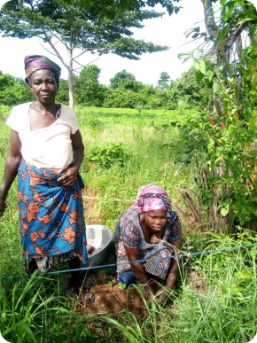 À Klala, le village le plus proche de notre centre agricole EFIDO, femmes et hommes ont planté des arbres.